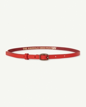 IBIS KIDS BELT 038_XX - Red