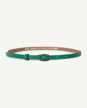 IBIS KIDS BELT 188_XX - Green