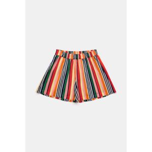 101118 MULTI STRIPE